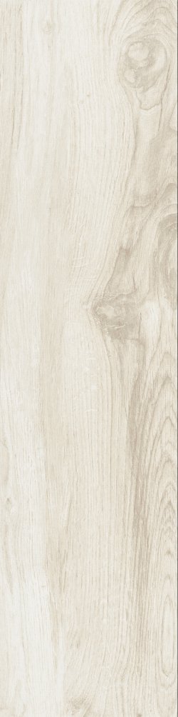 NORTH WIND IVORY